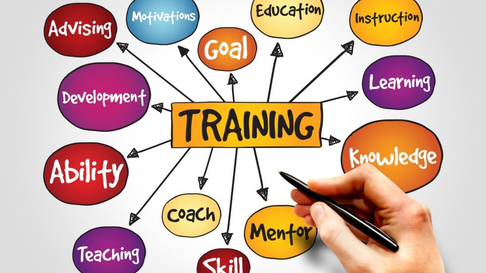 Les neurosciences au service de la formation : révolution ou simple ...
