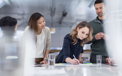 Comment une start-up pourrait sauver votre ville d’une invasion de pigeons